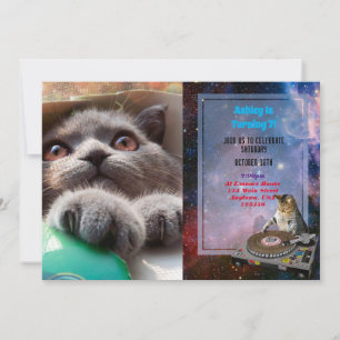 Convites Gato cinza na caixa de papelão