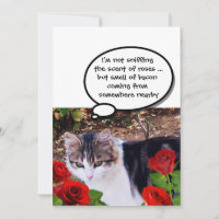 GATO COM FESTA DE RAMIFICAÇÃO DO ROSA VERMELHA BAC
