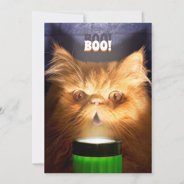 Convites Gato Com Lanterna (Frente)