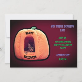 Convites Gato de borgonha e de abóbora laranja