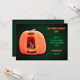 Convites Gato de Gato Verde Laranja Pumpkin Kitten Hallowee