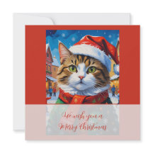 Gato de Natal Festivo com Chapéu de Papai Noel