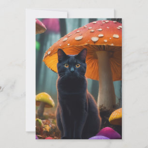 Convites gato em MUSHROOM