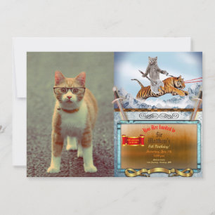 Convites Gato engraçado com óculos