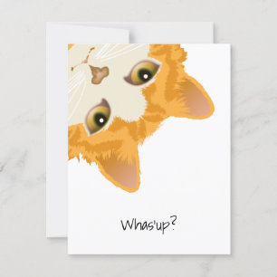 Convites Gato Laranja para Baixo