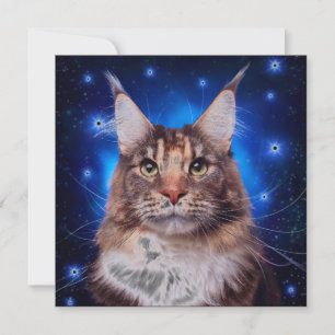 Convites Gato Main Coon Fundo Azul Estrelas
