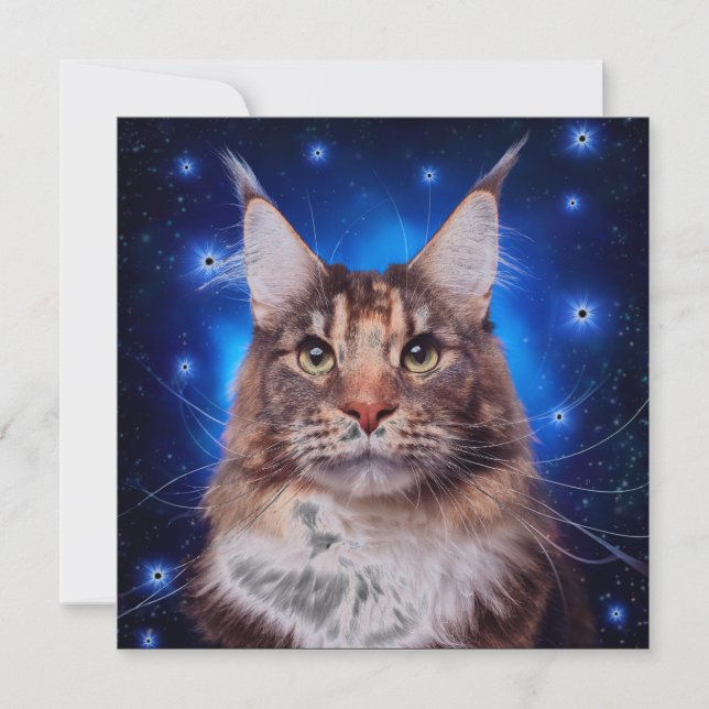 Convites Gato Main Coon Fundo Azul Estrelas (Frente)
