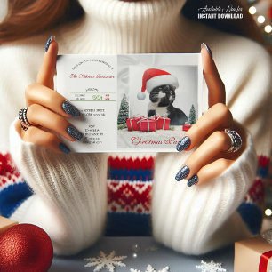 Convites Gato Sarcástico Engraçado Festa de Natal Santas