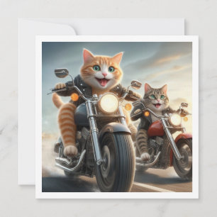 Convites Gatos Engraçados, Gatos No Aniversário De Motocicl