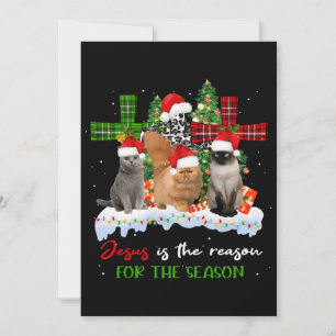 Convites Gatos Jesus É A Razão Para A Época De Natal Feio