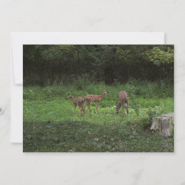 Convites Gêmeos e seu Mama