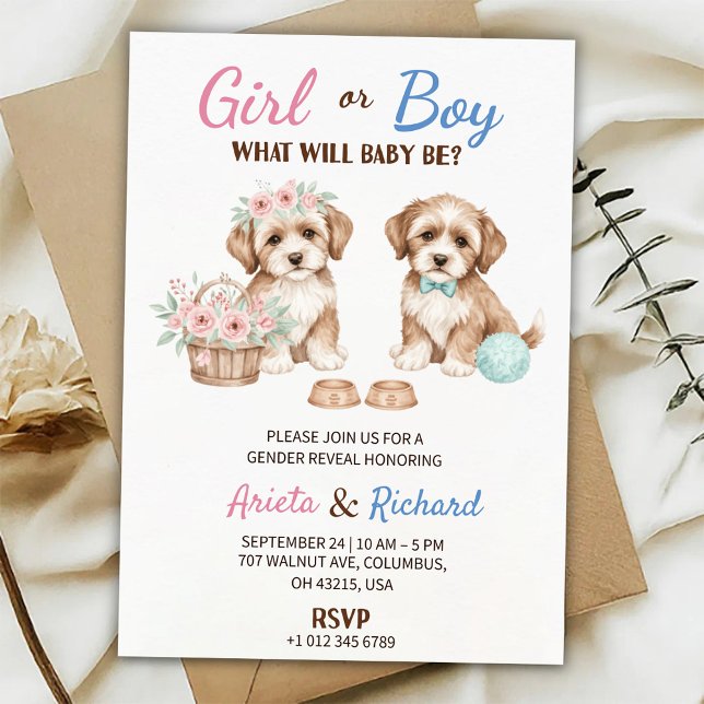 Convites Gender reveal invitation featuring two puppies (Criador carregado)