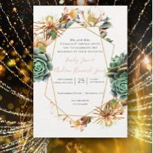 Geométrico Dourada Suculenta do Cactus no Deserto