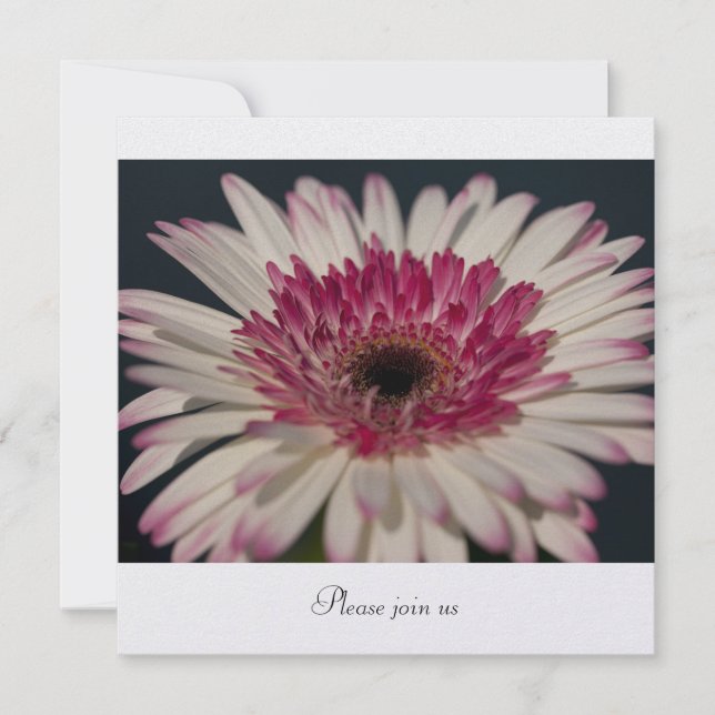 Convites Gerbera (Frente)
