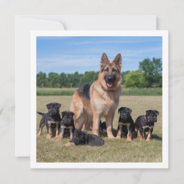 Convites German shepherd personalizável com uppies adaptáve