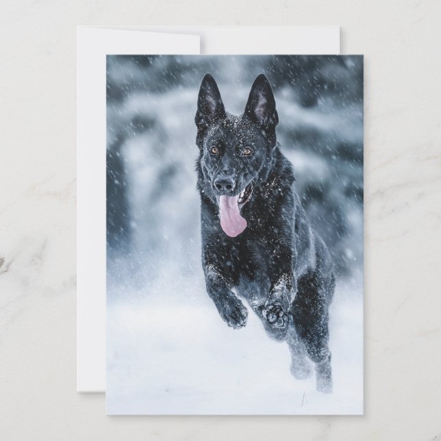 Convites German shepherd preto no Cobrir da escova de neve (Frente)