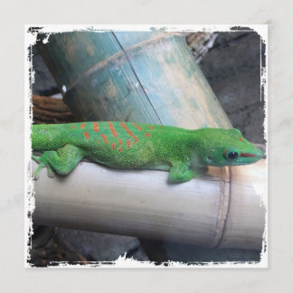 Convites gigantes do quadrado do geco do dia de