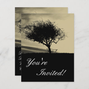 Convites Glastonbury Hawthorn. Árvore em Hill. Sepia Color.