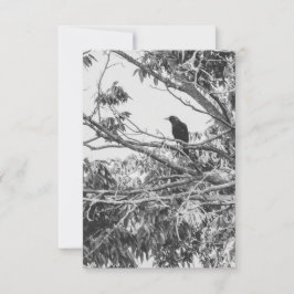 Convites Gothic Raven Postcard