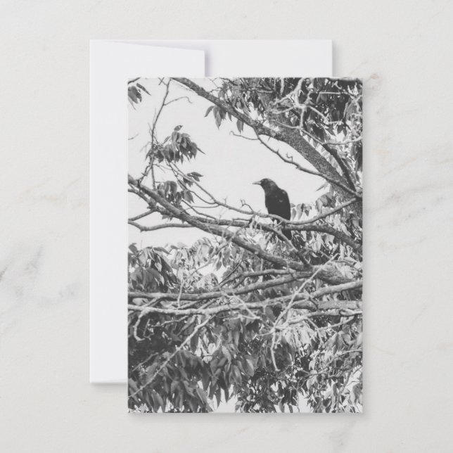 Convites Gothic Raven Postcard (Frente)