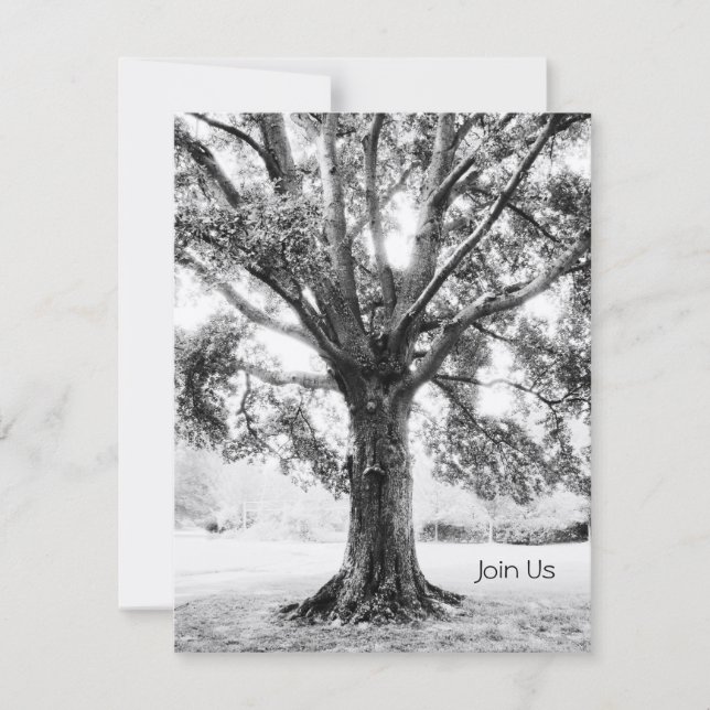 Convites Grande (Frente)