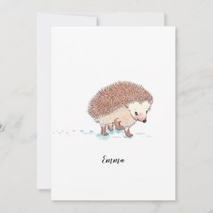 Convites Grande Aventura de Hedgehog