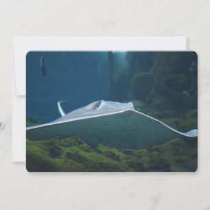 Convites Grande equipamento