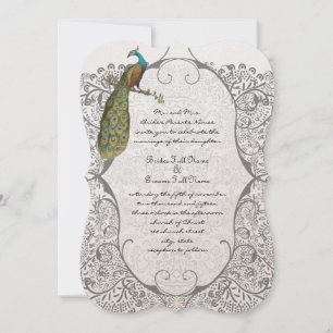 Convites Gray Whimsical Peacock Love Bird Pattern Wedding