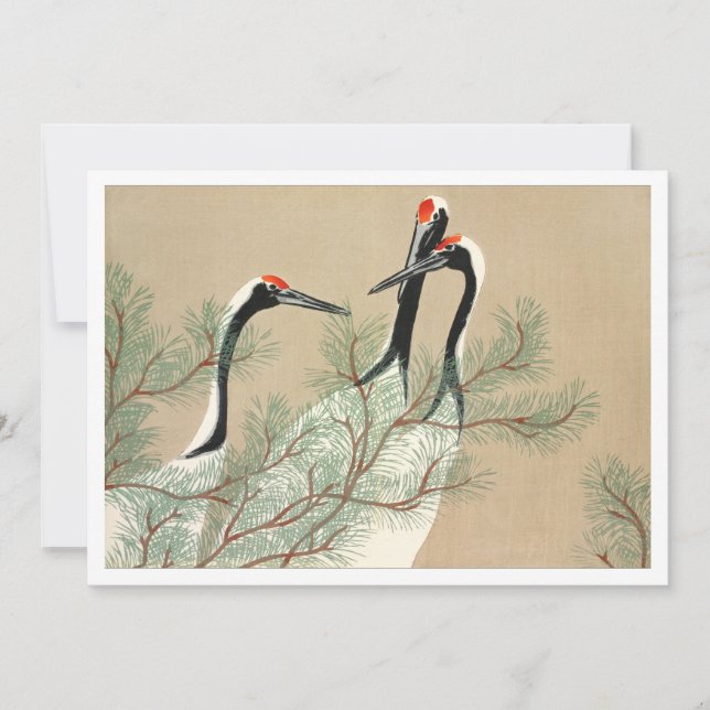 Convites Gruas a descarregar de Momoyogusa (Frente)