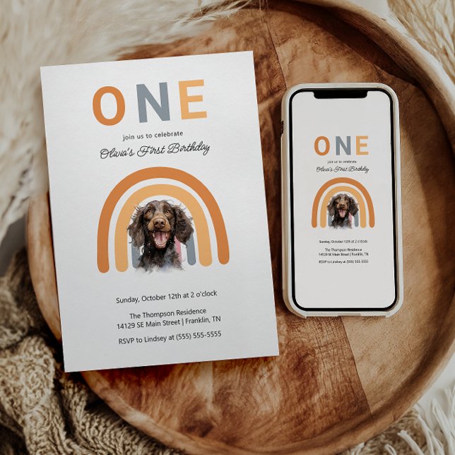 Convites Grupo Adorável do primeiro aniversario Arco-Íris (Criador carregado)