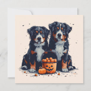 Convites Halloween Bernese Mountain Dogs Pumpkin