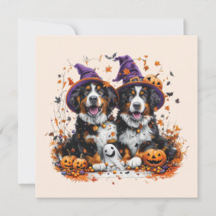 Convites Halloween Bernese Mountain Dogs Witch Ghost
