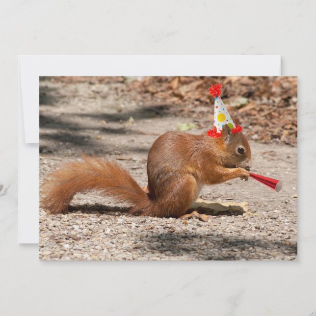 Convites Happy Birthday Squirrel (Frente)