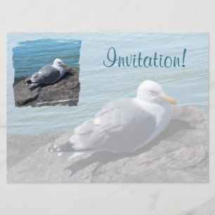 Convites Herring Gull Resting em Rock Jetty: