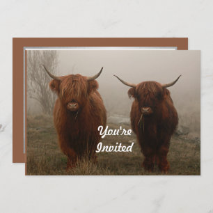 Convites Highland Cattle Fog Photo Birthday