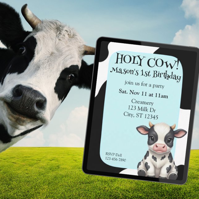 Convites Holy Cow, blue, cow 1st Birthday (Criador carregado)