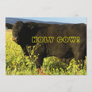 Convites Hora da Ronda! Vaca Sagrada - Festa Western