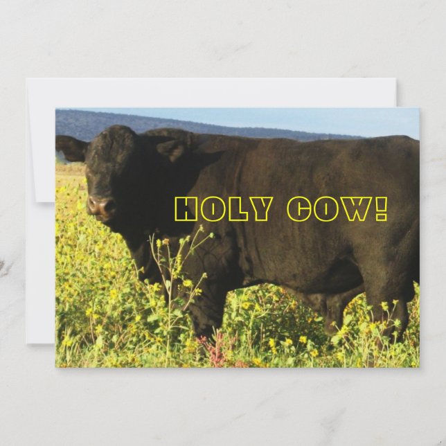 Convites Hora da Rondinha!  Vaca Sagrada - Festa Country (Frente)