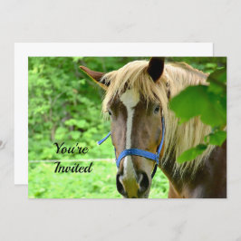 Convites Horse Brown Belgium Draft Photo Birthday