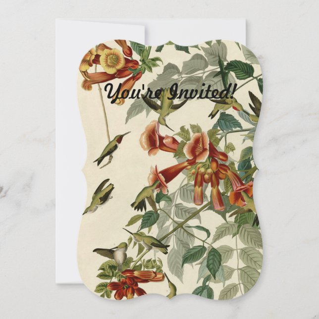 Convites Hummingbird Ruby Throbon Audubon (Frente)