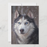 Husky Siberiano