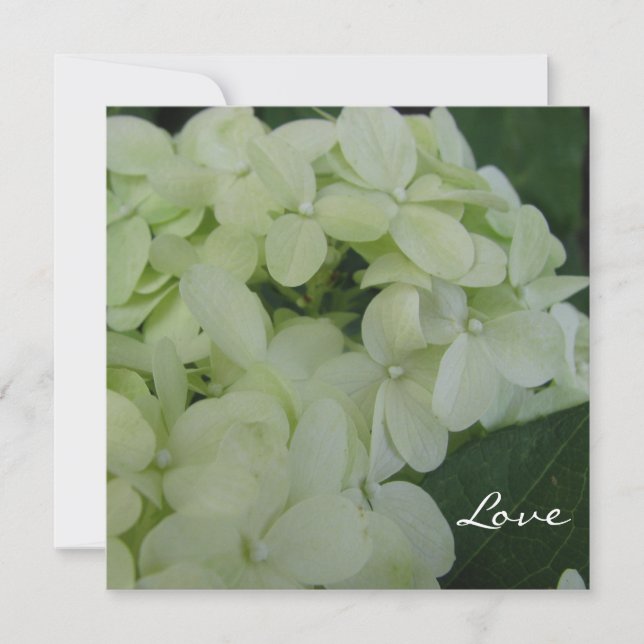 Convites Hydrangea Love (Frente)