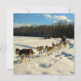 Convites Iditarod Trail Sled Race