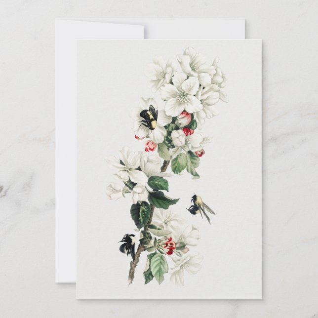 Convites Ilustração do Flor da Maçã Vintage (Frente)