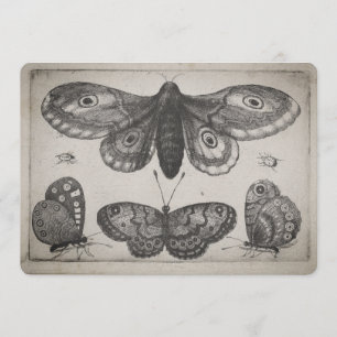 Convites Ilustração dos Lepidoptera da traça do vintage
