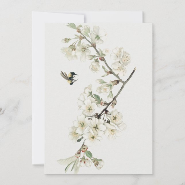 Convites Ilustração vintage de flor de maçã (Frente)