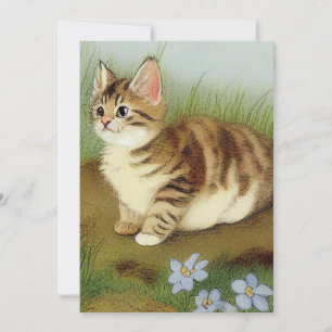 Convites Ilustração Vintage Kitten com Flores