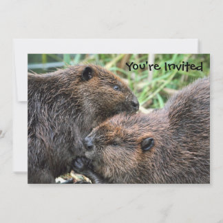 Convites Imagem de Beavers Grooming