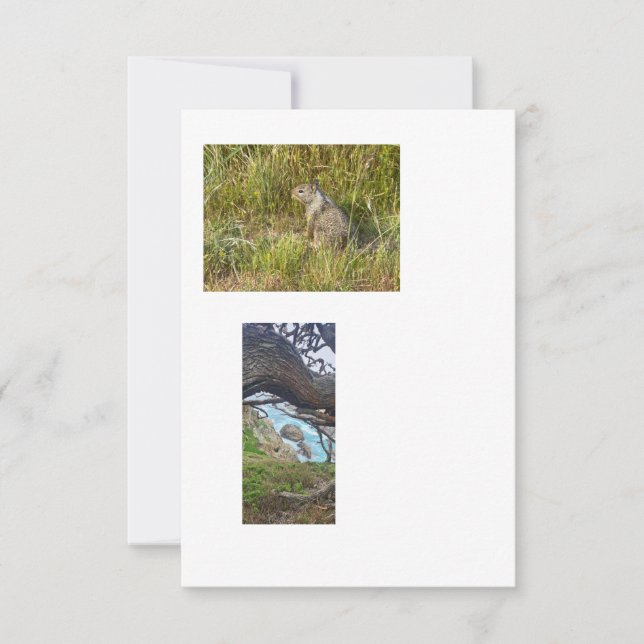 Convites imagens de modelo vinculadas (Frente)