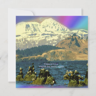 Convites Imperador Geese na Baía de Chiniak perto de Chinia